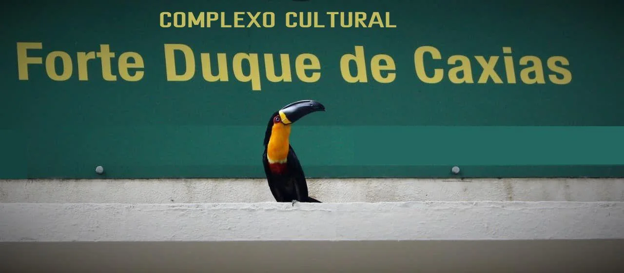 Tucano pousado sob a placa do Complexo Cultural Forte Duque de Caxias
